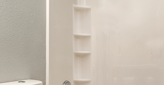 Shower Caddy in a Shower Liner Panel